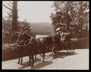 Eine Frau und ein Hund in einer Pferdekutsche, 1899